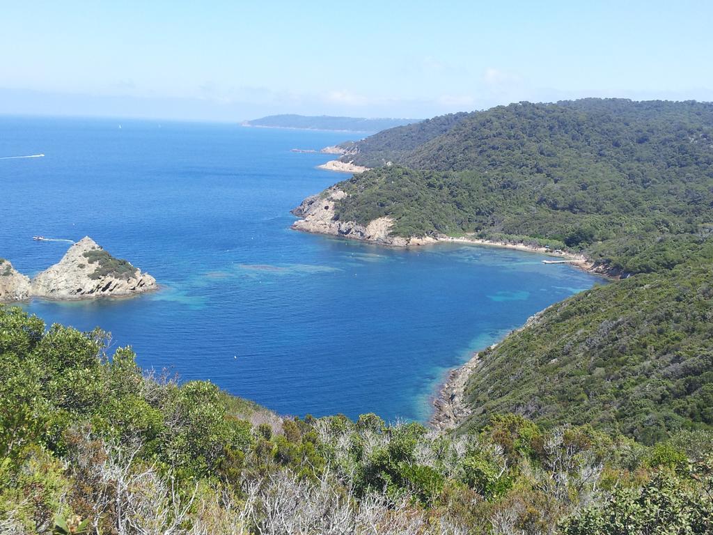 " Au Morgan De Vous " Le Lavandou Exterior photo