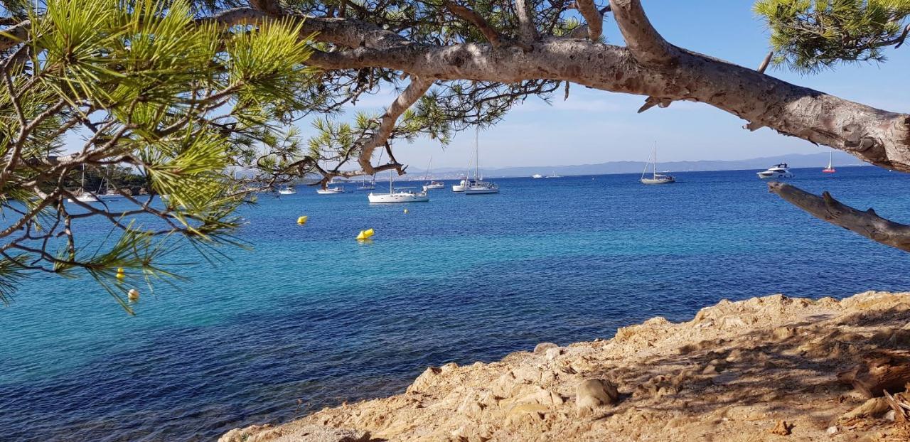 " Au Morgan De Vous " Le Lavandou Exterior photo